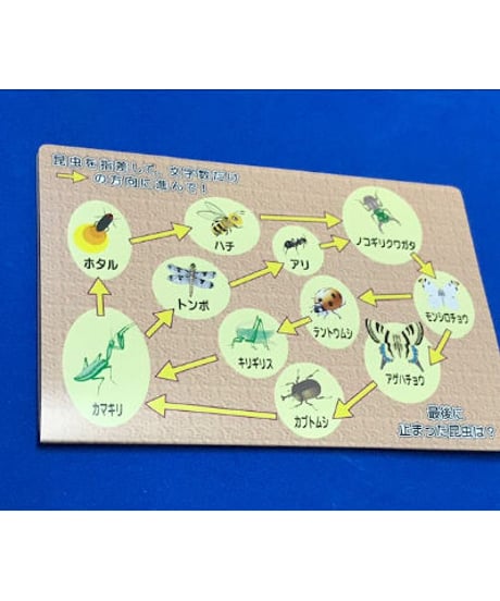 ラスト・インセクト　　＊800