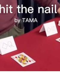 Hit the nail　　by　TAMA   *1250