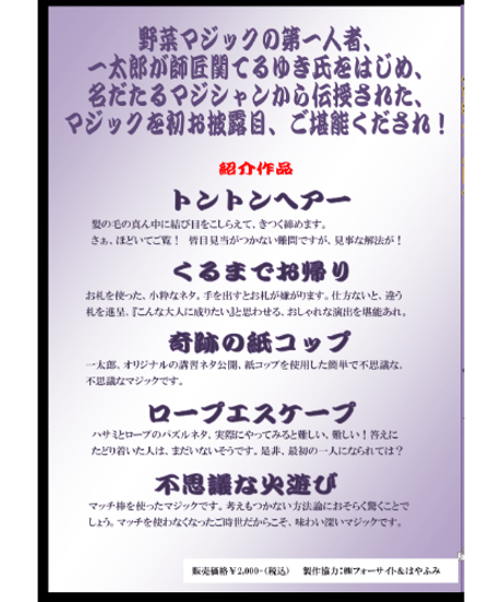 芸者さんゆずり　DVD  *1000