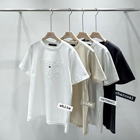 《一部即日発送》店舗人気アイテム🫧STUNNING string logo t-shirt