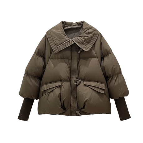 《予約販売》再入荷✨High-Neck Padding Jacket(Duck Down)