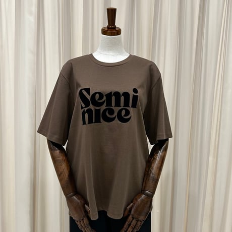 《予約販売》STUNNING Semi T-shirt