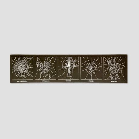 PASSION SPIDER STUDY FRIDGE MAGNET