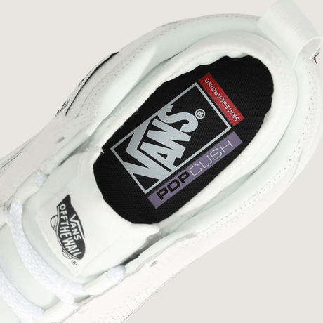 VANS SKATE SAFE LOW BLANC DE BLANC