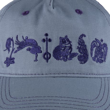 PASS~PORT SOPHOMORE PACKERS CAP - WASHED BLUE