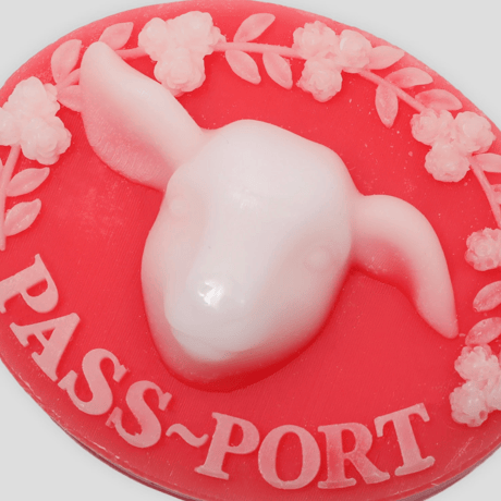 PASS~PORT SOAP BAR WAX