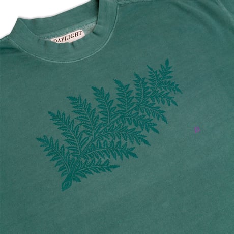 DAYLIGHT FROND CREW - FADED TEAL
