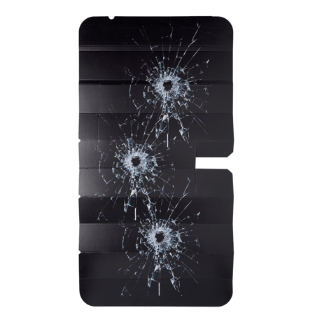 TOKEN CALI DEWITT WINDSHIELD VISOR