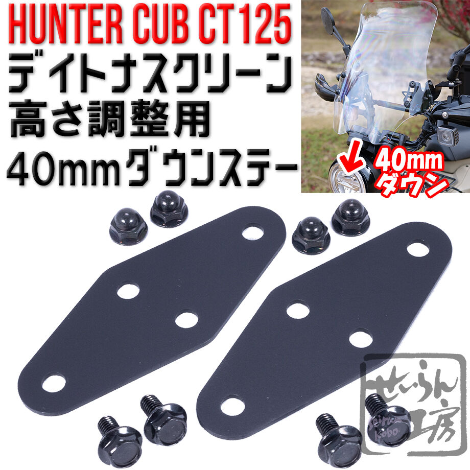 せいらん工房 【ダウンステーTYPEⅠ】40mmダウン for デイトナ