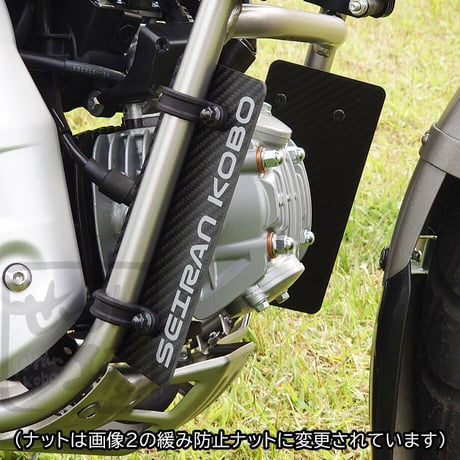ハンターカブ CT125  カーボンエアガイドパネル  導風板 (JA55 JA65) せいらん工房