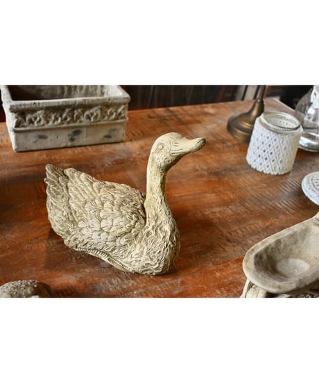 DUCK SWIMMING