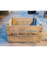 cabbage box  ｷｬﾍﾞｯｼﾞﾎﾞｯｸｽ