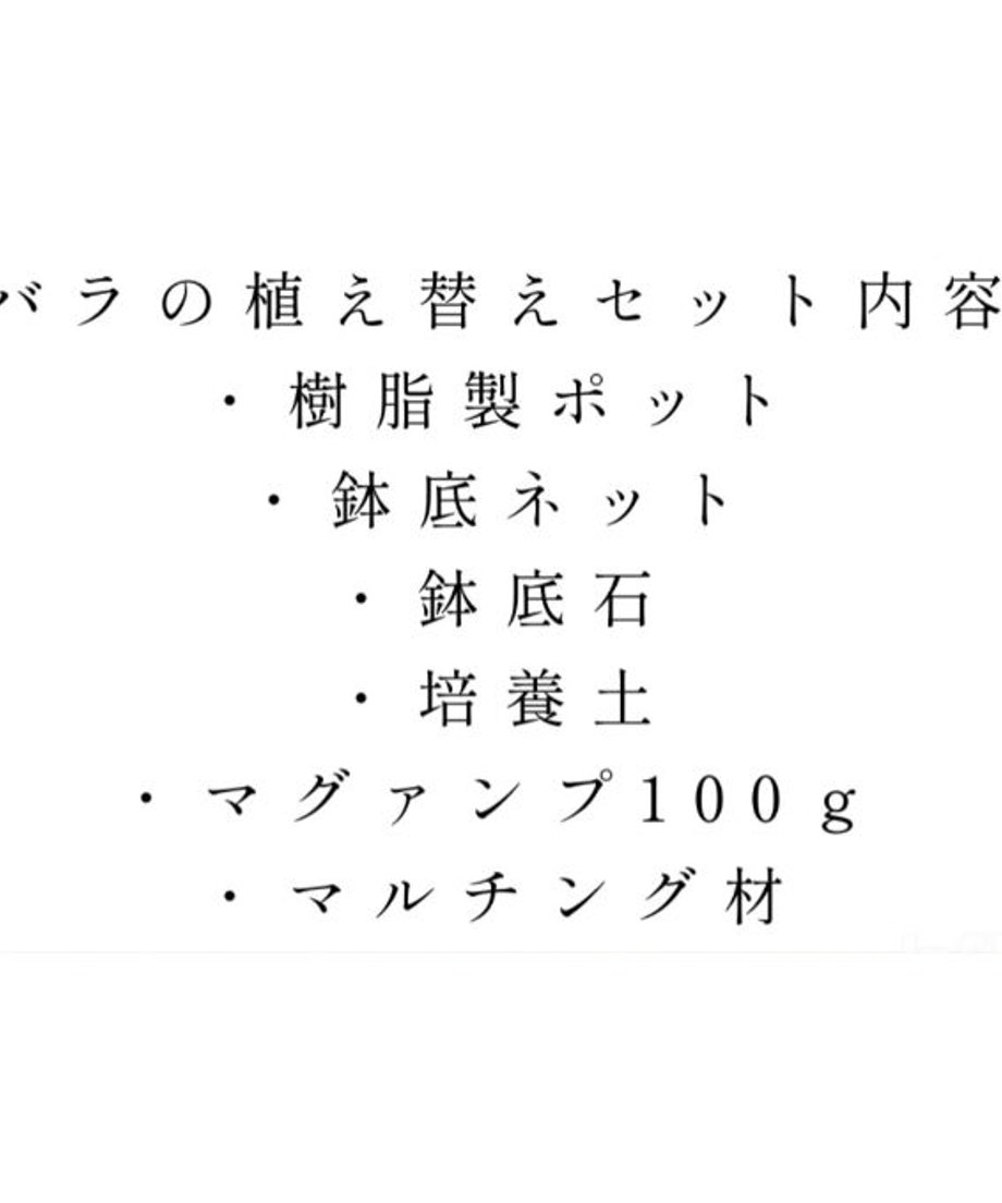 649403d7b2e23400411befc6