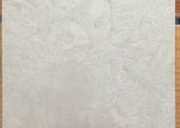 orhythmo - winter/seiren CD