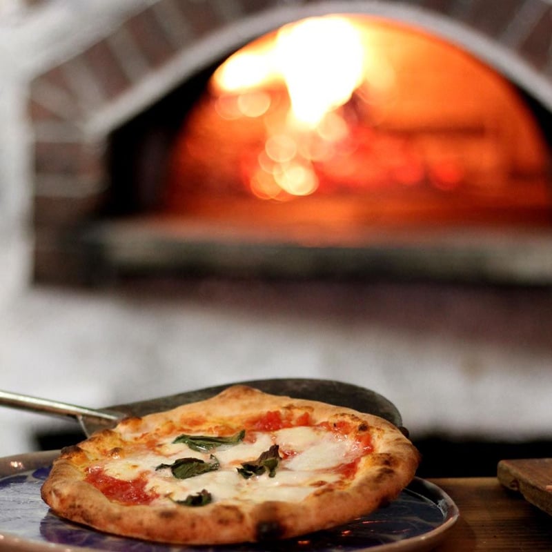 11月上旬発送 Basic ベーシック【3枚セット】 | ピットーレ・カーサ