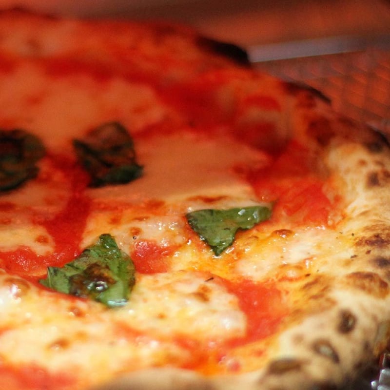 11月上旬発送 Basic ベーシック【3枚セット】 | ピットーレ・カーサ