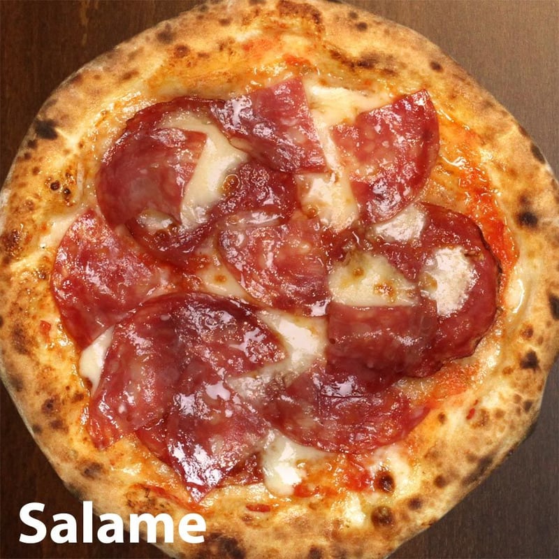 11月下旬発送 Special スペシャル【6枚セット（ベーシック＋プレミアム