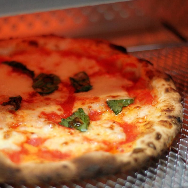 11月下旬発送 Special スペシャル【6枚セット（ベーシック＋プレミアム