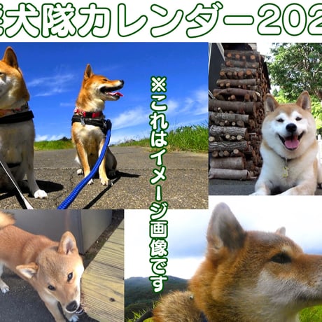 柴犬隊カレンダー2024
