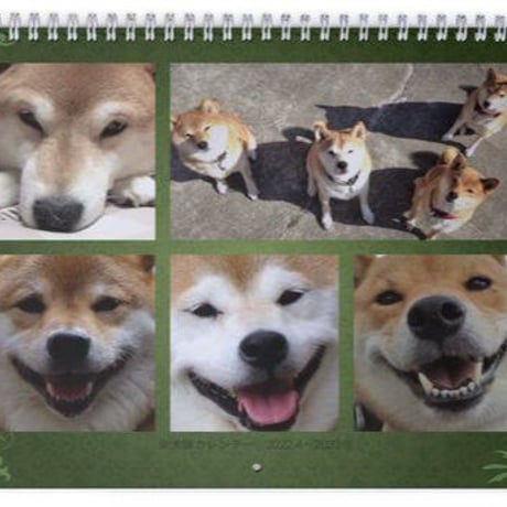 【バックナンバー】柴犬隊カレンダー2022
