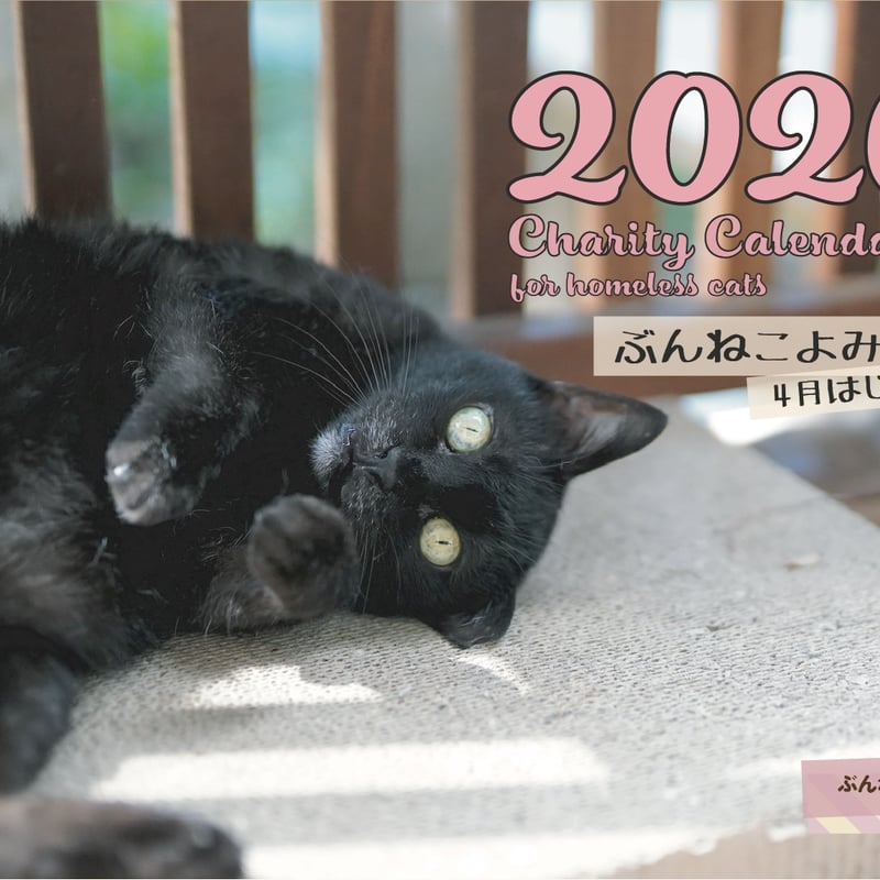 ぶんねこよみ 2026年4月始まりチャリティーカレンダー | ぶんねこの会
