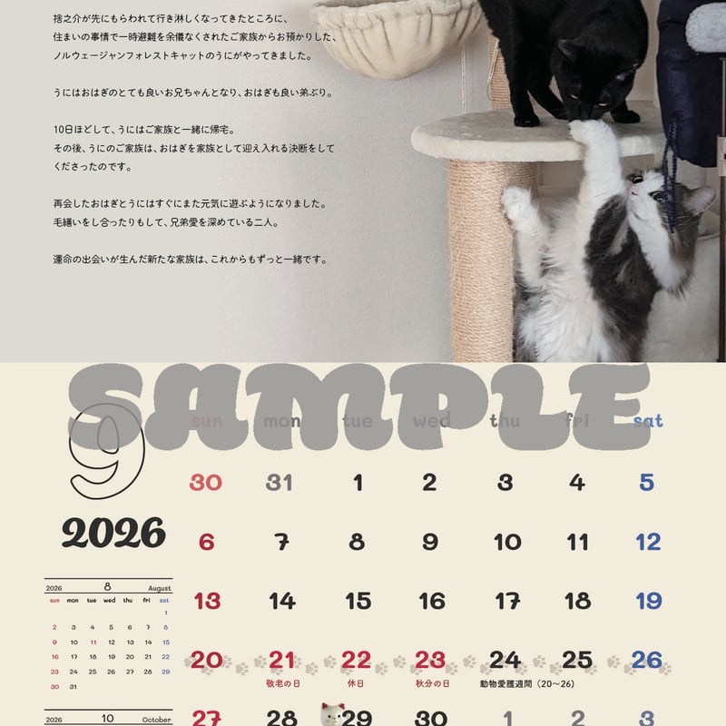 ぶんねこよみ 2026年4月始まりチャリティーカレンダー | ぶんねこの会