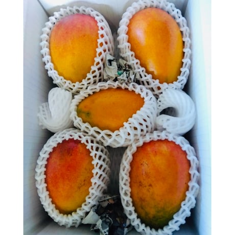 パパマンゴー2kg(4玉〜5玉)