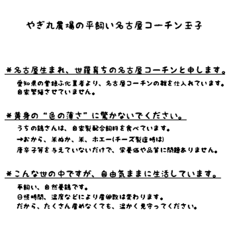 平飼い名古屋コーチン玉子(毎月定期便)