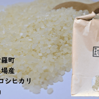 【定期便】コシヒカリ精米10㎏