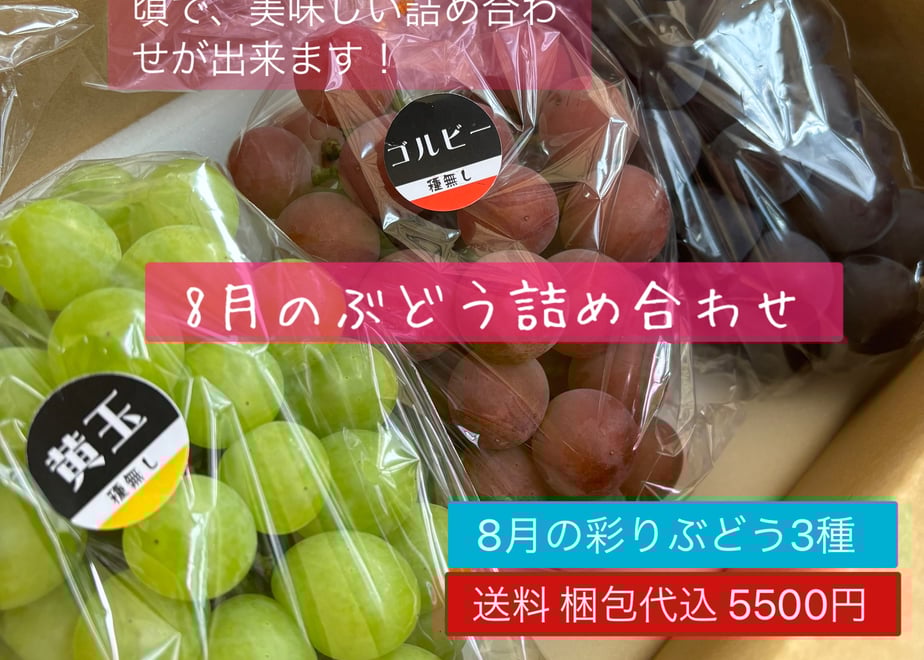 66bd891db1f1ec006cd9b38b
