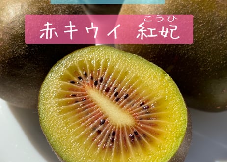 キャラクター超大タオルシークレット✖️3枚 Z/Xグッズ ｜ Z/X - Zillions of enemy X - ゼクス公式サイト