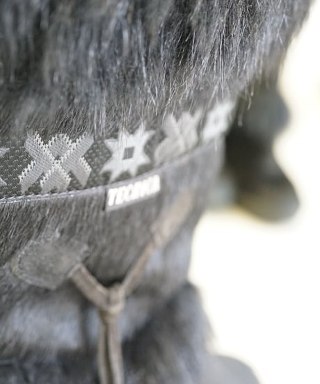 【vintage】TECNICA realfur snow boots