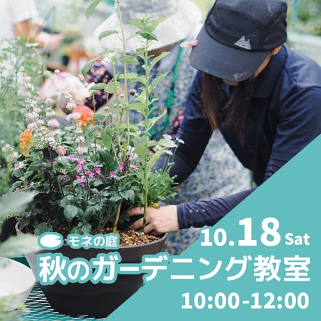 3C5 厚岸ホテイアツモリソウ 3C5 厚岸ホテイアツモリソウ