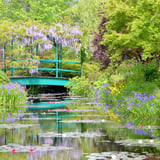 オンラインショップ［Monet］
