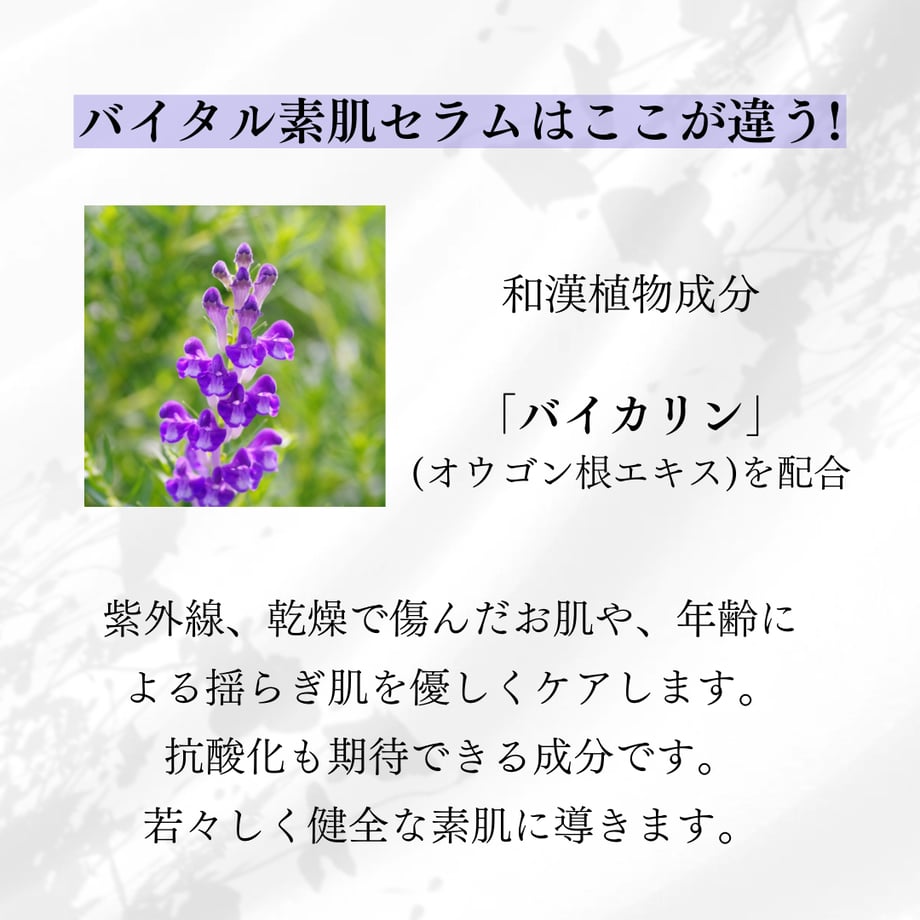 62c54c320850a05e65d06f25