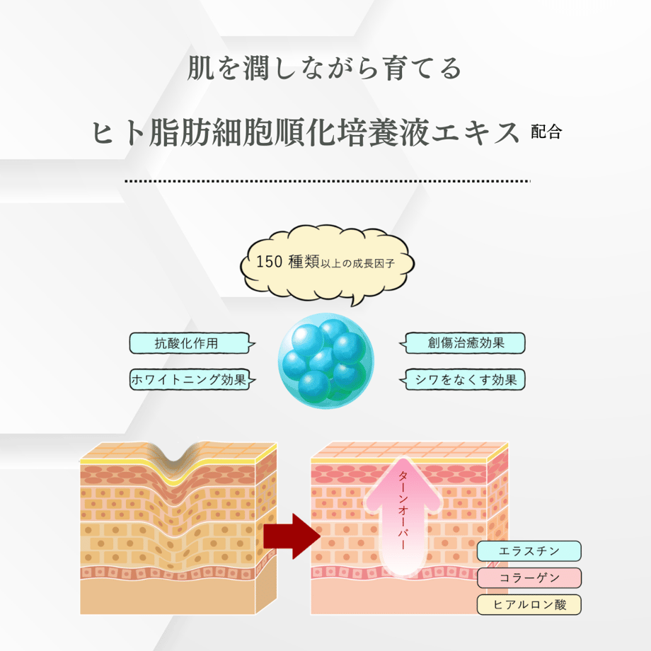 62c54c320850a05e65d06f25