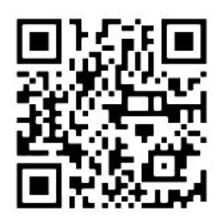Jupiter wallet   / Type: Shine (これから受注生産)