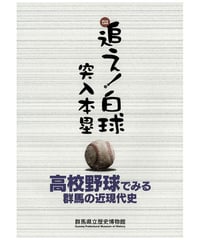 綿貫観音山古墳 ガイドブック | 群馬県立歴史博物館ミュージアムショップ