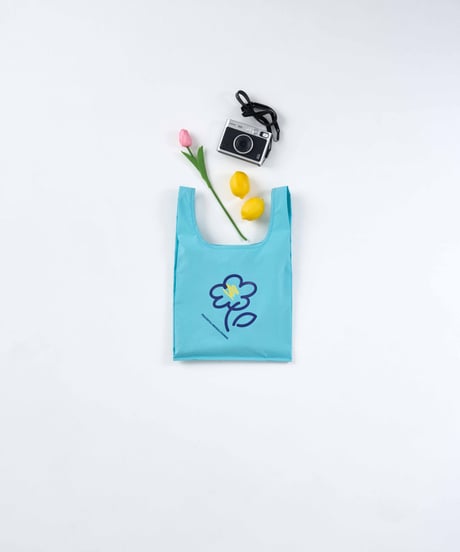REGI BAG