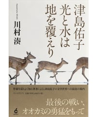 カリブ海序説 61NCTWRIMlL.jpg