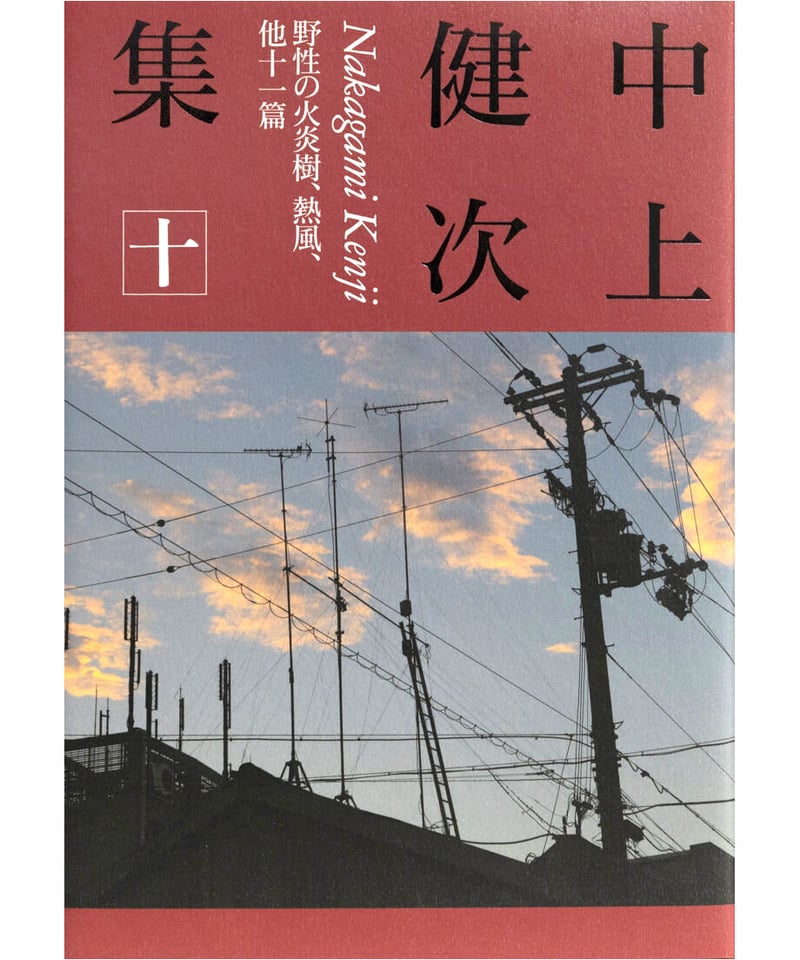 中上健次集 十 野性の火炎樹、熱風、他十一篇』 | INSCRIPT