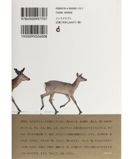 川村湊『津島佑子 光と水は地を覆えり』