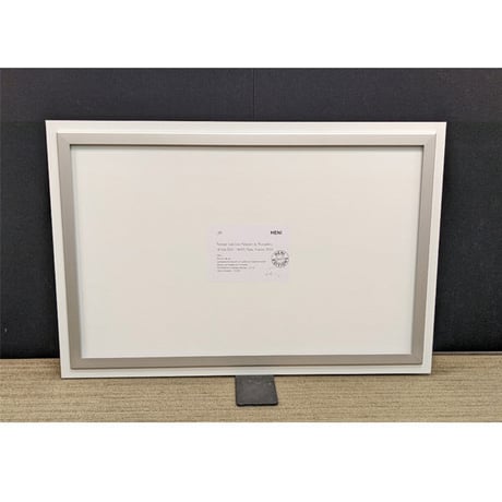 JR「Trompe l'oeil, Les Falaises du Trocadéro（1-2）」ジークレー