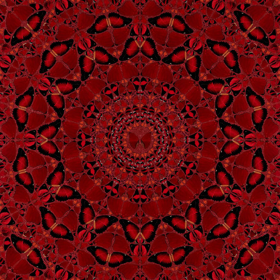 6203463047a53467e8541c3b