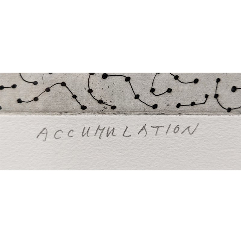 草間彌生「Accumulation（集積）」エッチング | BISENDO art gallery
