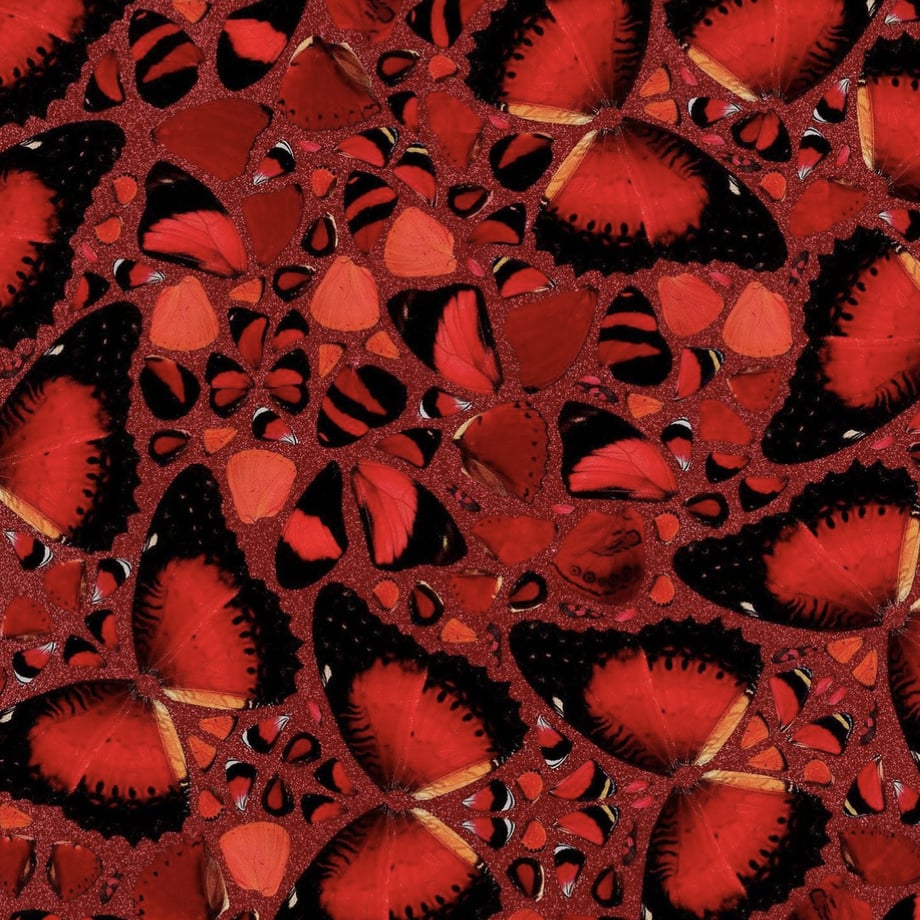 620346d3acbcb06631e1e44a