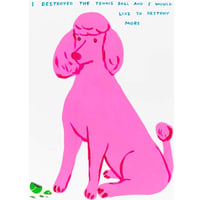 デイヴィット・シュリグリー「I Destroyed The Tennis Ball」シルクスクリーン