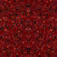 名和 晃平「Direction」シルクスクリーン | BISENDO art gallery