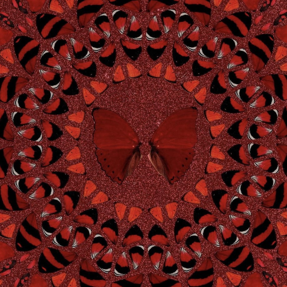 6203463047a53467e8541c3b