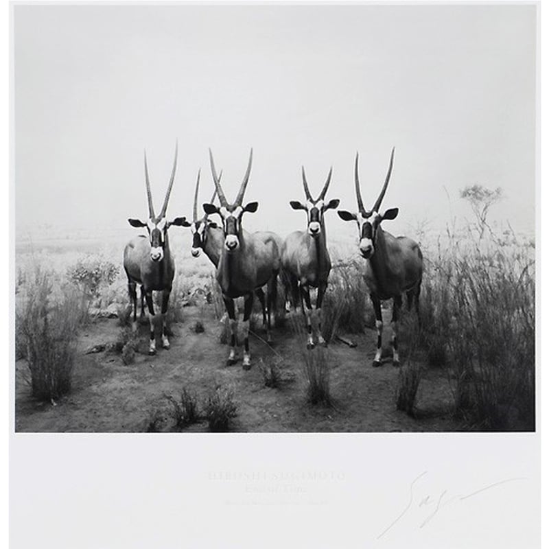 杉本 博司「GEMSBOK 1980」オフセットリト | BISENDO art gallery